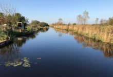 Stichting De Groene Boerderij景点图片
