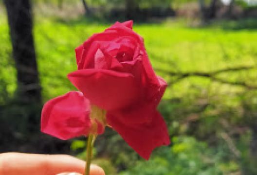 Piran Kot پیران کوٹ景点图片