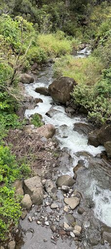West Maui Forest Reserve-茂宜县