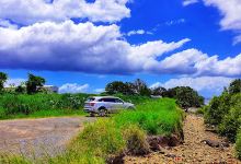 Myrtletown Reserve景点图片