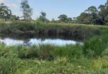 Greenglade Drive Reserve景点图片