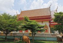 Wat Samakkhi Pirom景点图片