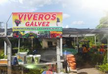 Viveros Galvez购物图片