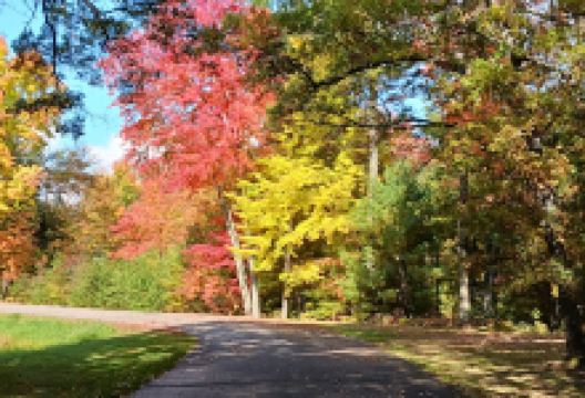 Lake Dexter County Park & Campground景点图片