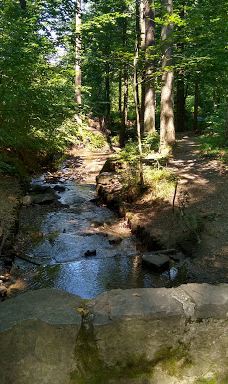 Park Cygański Las w Bielsku-Białej-别尔斯克 比亚瓦