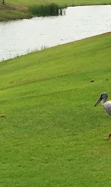 Ayutthaya Golf Club-大城