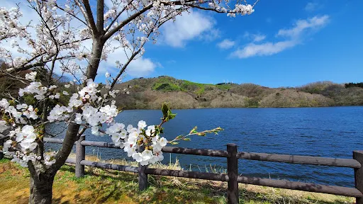 大山上池