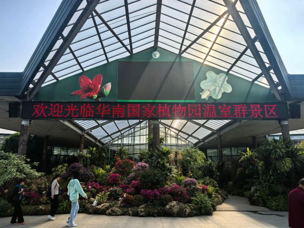 华南植物园景点图片 13