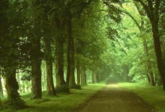 快活林景点图片