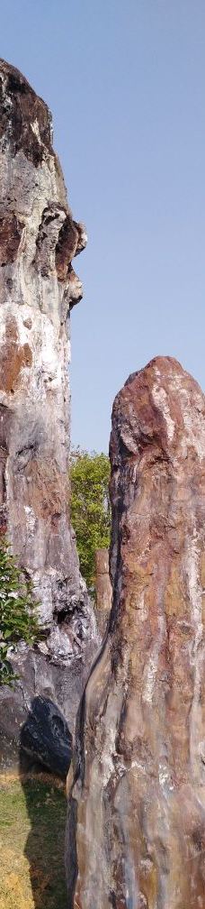 黄石华侨城恐龙奇域-大冶