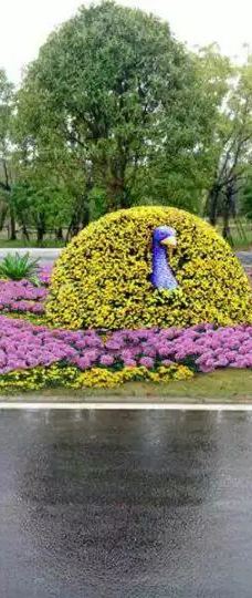 黄石华侨城恐龙奇域-大冶