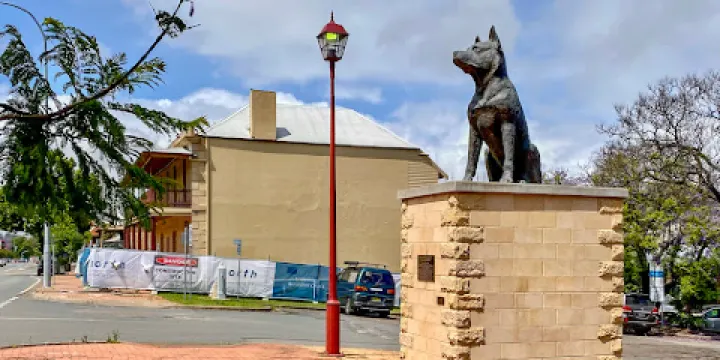 The Blue Heeler Cattle Dog Statue