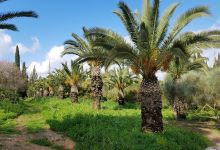 Club members景点图片