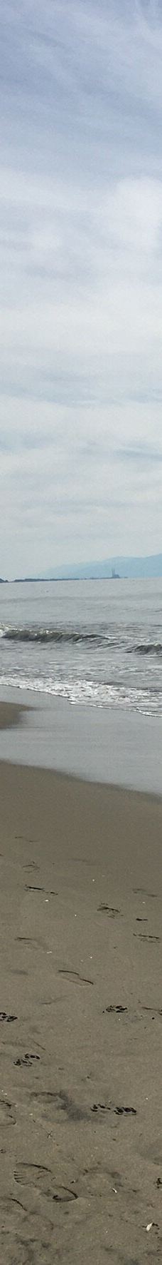 Seacliff State Beach-阿普托斯