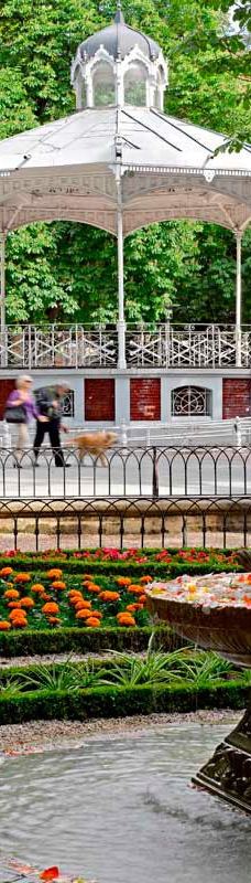 佛罗里达公园-维托里亚