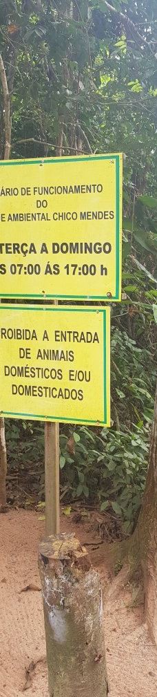 Parque Ambiental Chico Mendes-里奥布朗库