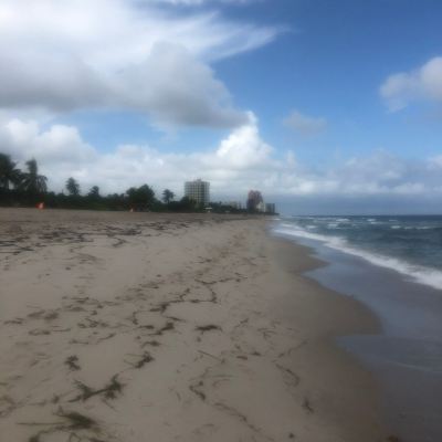 <8天>【热情佛州 | 名城海岛全览】·奥兰多+迈阿密深度游：清水湾+肯尼迪航空中心+奥兰多海洋世界(含门票)+鳄鱼王国+西礁岛+大沼泽国家公园+西棕榈滩+海明威故居+罗德岱堡(免费接送机/全程含早)
