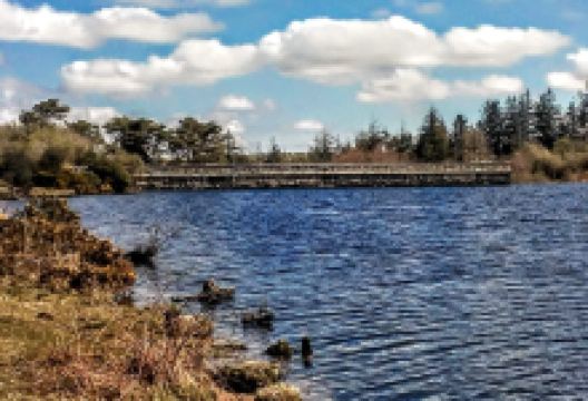 Fernworthy Reservoir景点图片