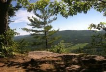 Mount Will Walking Trail景点图片