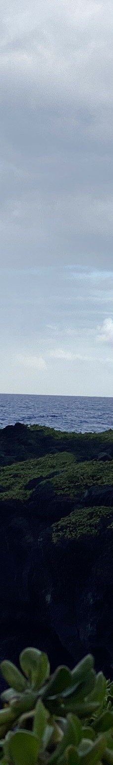 皮皮崴小径-茂宜县