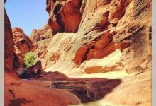 Red Cliffs Recreation Area景点图片