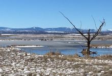 Modoc National Wildlife Refuge景点图片