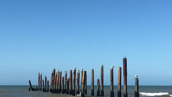 Monte Hermoso