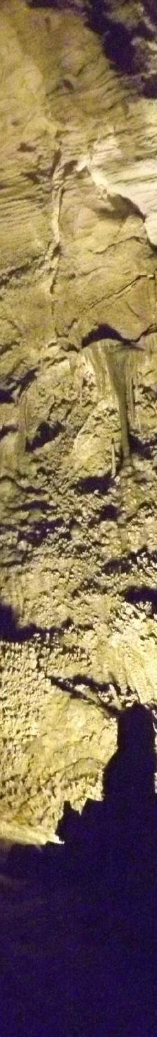 Ngarua Caves-Takaka Hill