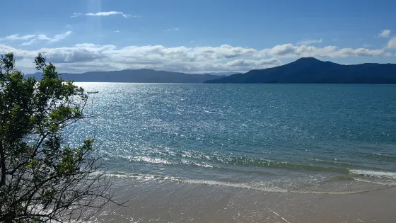 Daniela's Beach