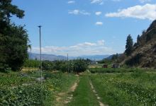 Hillside Orchards U-Pick and Farm景点图片
