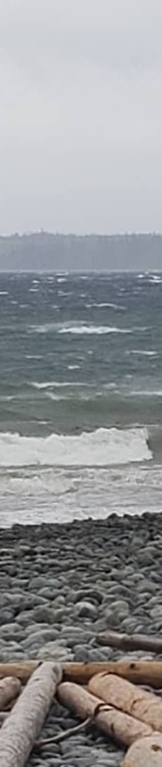 Rebecca Spit Marine Provincial Park-奎德拉岛