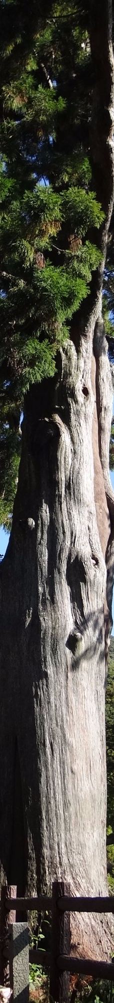 Fumon-ji Temple-丰桥市