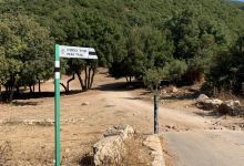 Mount Meron Nature Reserve景点图片