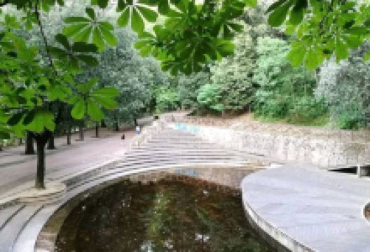 Villa Vecchia景点图片