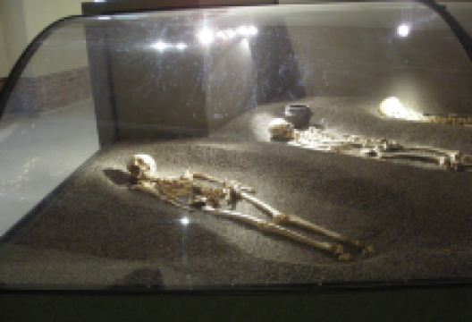 Centro Ambientale Archeologico景点图片