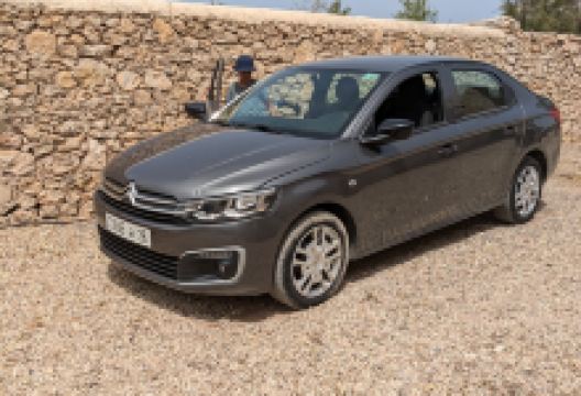 Jacaranda Car景点图片