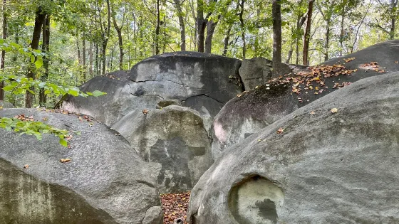 Big Rock