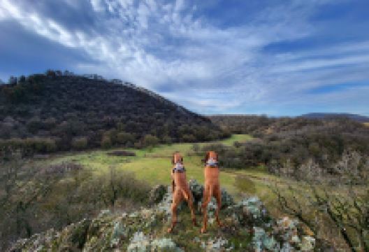 Budakeszi Kaptárkő景点图片