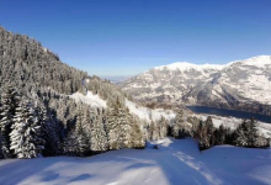 Sportbahnen Kerenzerberg GmbH美食图片