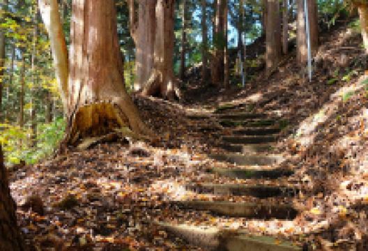 Izuchifumondo景点图片