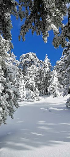 奥林匹斯山-特罗多斯山