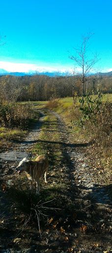 Grotta della Madonnina di Bobbiate-瓦雷泽