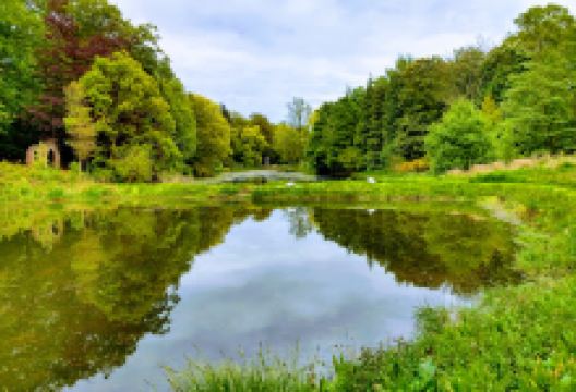 Blagdon Estate景点图片