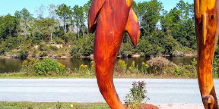 The Institute for Marine Mammal Studies