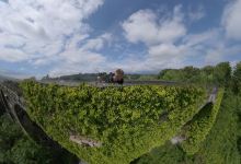 Durrow Viaduct景点图片