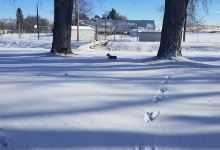 Grass Valley RV Park景点图片