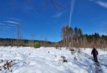 Grenoside Woods景点图片