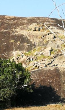 Yala Block I-汉班托特