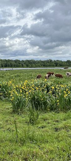 Campbell’s Bay Campground-斯旺顿
