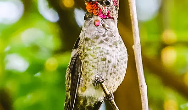 Las Gallinas Valley Sanitary District